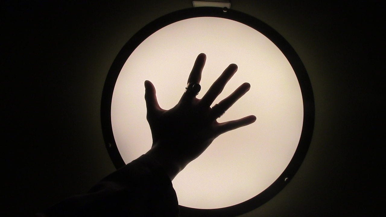 Watch The Frankfurt Specimen: 2099 2026 online Watch The Frankfurt Specimen: 2099 2026 online