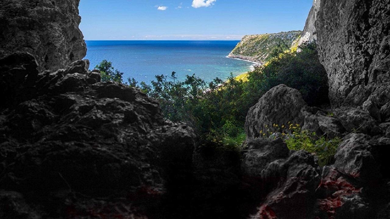 Дивитися фільм La cueva 2014 онлайн Дивитися фільм La cueva 2014 онлайн