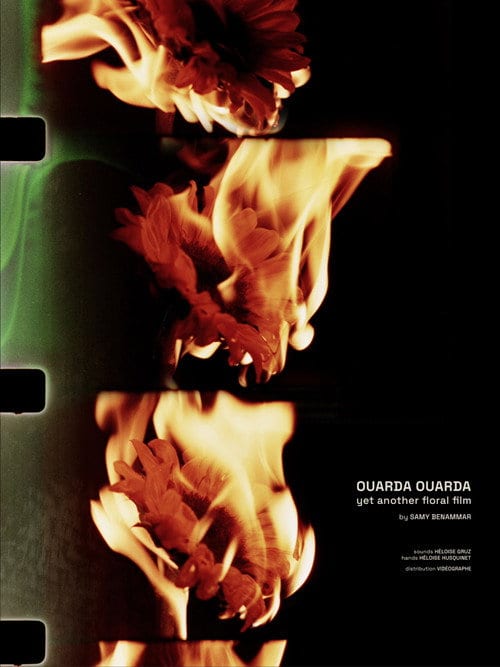Watch Ouarda Ouarda: yet another floral film 2026 online Watch Ouarda Ouarda: yet another floral film 2026 online