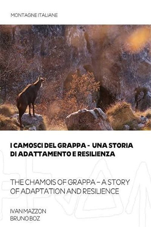 Дивитися фільм I camosci del grappa - una storia di adattamento e resilienza 2026 онлайн Дивитися фільм I camosci del grappa - una storia di adattamento e resilienza 2026 онлайн