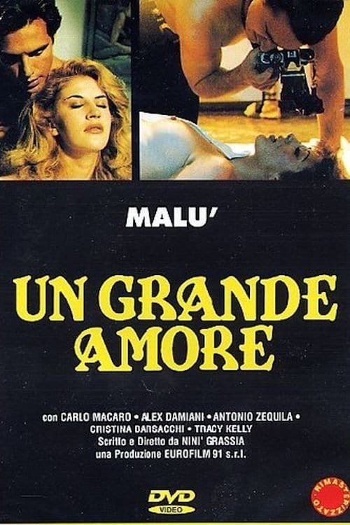 Дивитися фільм Un grande amore 1995 онлайн Дивитися фільм Un grande amore 1995 онлайн