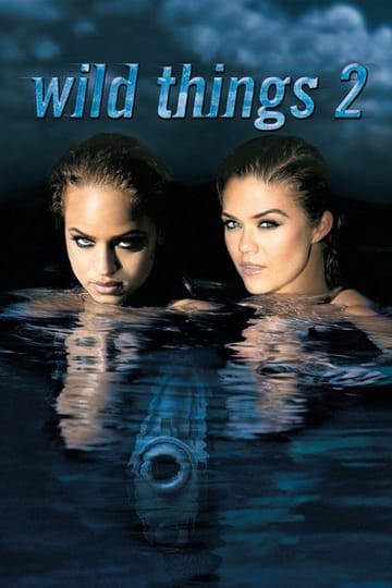 Watch Wild Things 2 2004 online