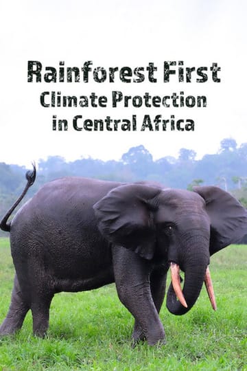 Дивитися фільм Rainforest First: Climate Protection in Central Africa 2022 онлайн Дивитися фільм Rainforest First: Climate Protection in Central Africa 2022 онлайн