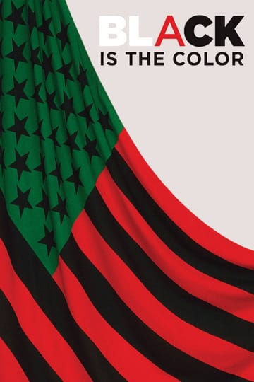 Watch Black Is the Color: African-American Artists and Segregation 2016 online
