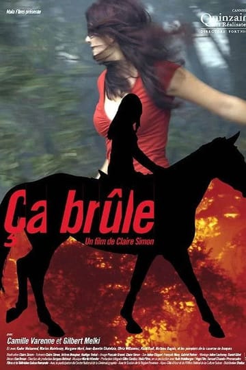Watch Ça brûle 2006 online