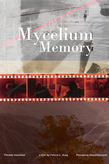 Дивитися фільм Mycelium Memory 2024 онлайн