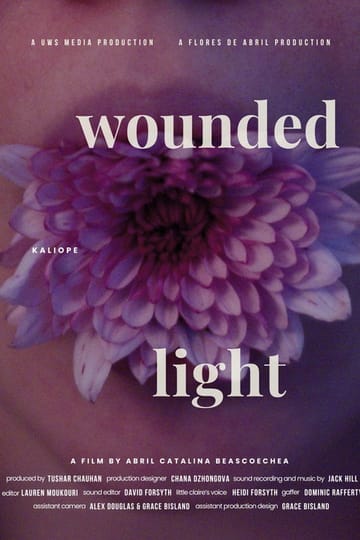 Дивитися фільм Wounded Light 2026 онлайн
