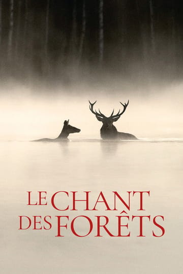 Дивитися фільм Le Chant des forêts 2025 онлайн Дивитися фільм Le Chant des forêts 2025 онлайн