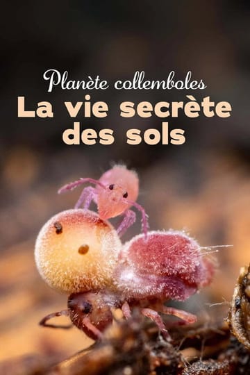 Дивитися фільм Planète collemboles : la vie secrète des sols 2024 онлайн