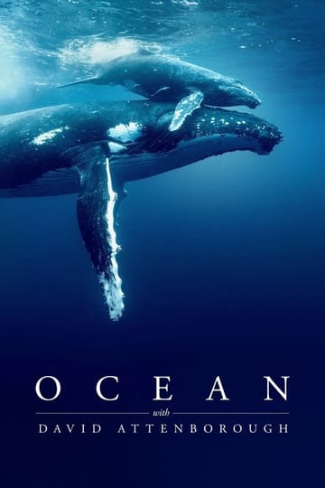 Watch Ocean with David Attenborough 2025 online Watch Ocean with David Attenborough 2025 online
