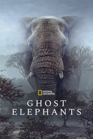 Дивитися фільм Ghost Elephants 2026 онлайн
