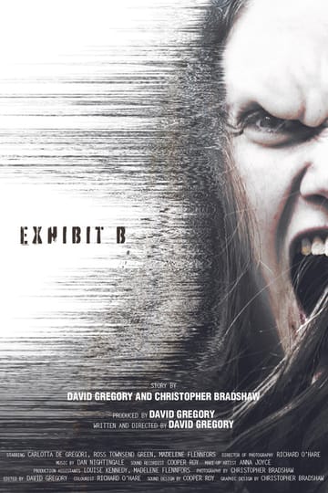 Watch Exhibit B 2026 online