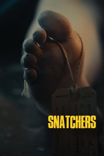 Watch Snatchers 2025 online