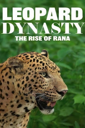 Watch Leopard Dynasty – The Rise of Rana 2025 online