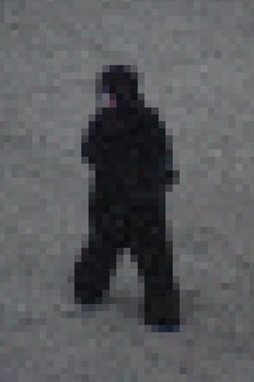 Watch Gorilla Gorilla 2026 online Watch Gorilla Gorilla 2026 online