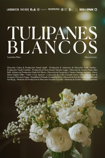 Дивитися фільм Tulipanes blancos 2025 онлайн Дивитися фільм Tulipanes blancos 2025 онлайн