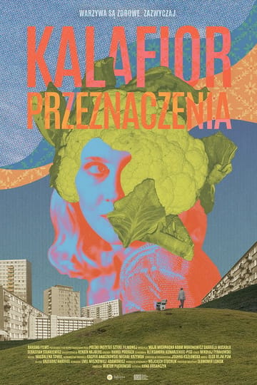 Дивитися фільм Kalafior przeznaczenia 2026 онлайн