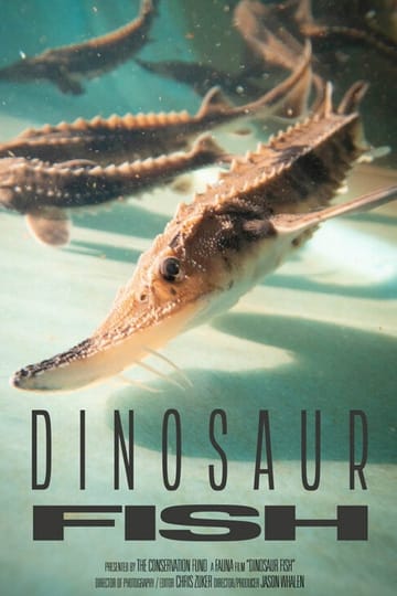 Watch Dinosaur Fish 2026 online