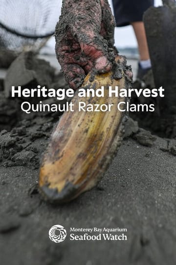 Watch Heritage and Harvest: Quinault Razor Clams 2026 online Watch Heritage and Harvest: Quinault Razor Clams 2026 online
