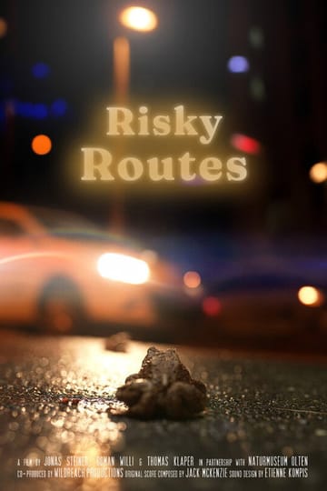 Watch Risky Routes 2026 online Watch Risky Routes 2026 online