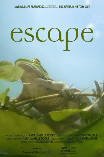 Watch Escape 2026 online
