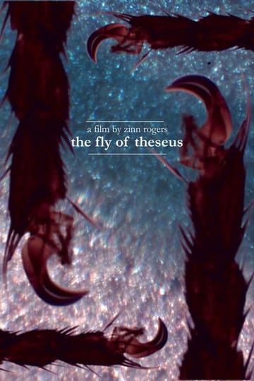 Watch The Fly of Theseus 2026 online