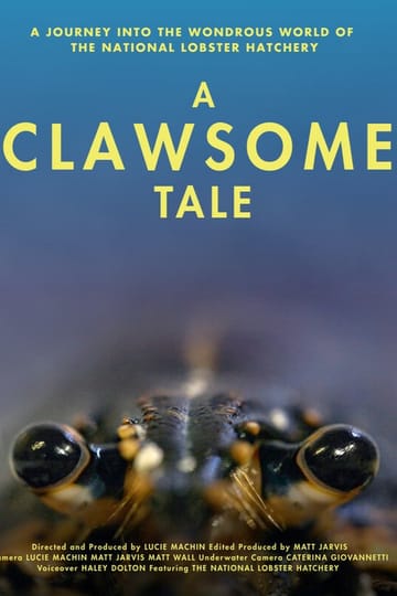 Watch A Clawsome Tale 2026 online
