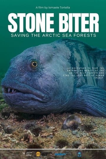 Дивитися фільм Stone Biter: Saving the Arctic Sea Forests 2026 онлайн