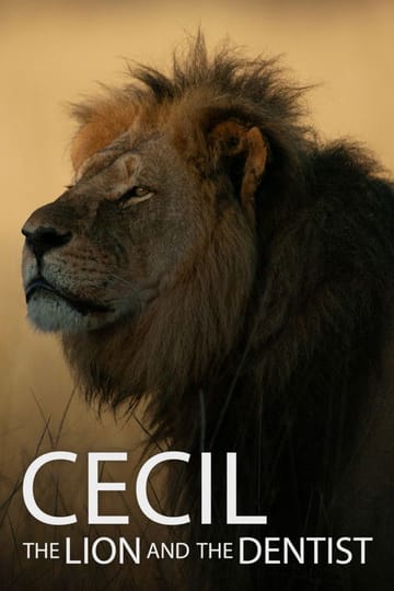 Watch Cecil 2026 online