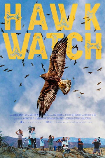 Watch Hawk Watch 2026 online Watch Hawk Watch 2026 online