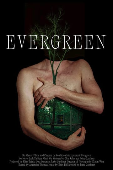 Дивитися фільм Evergreen 2026 онлайн