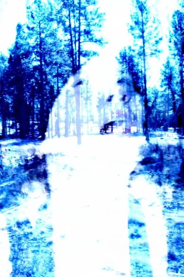 Дивитися фільм Where Trees Grow Tall 2026 онлайн