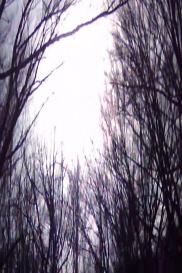 Watch The Inmost Light 2026 online