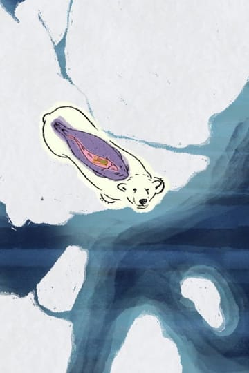 Дивитися фільм Arctic Shifts 2026 онлайн