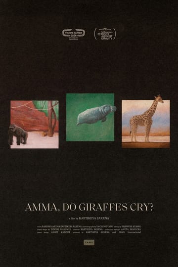 Watch Amma, Do Giraffes Cry? 2026 online Watch Amma, Do Giraffes Cry? 2026 online