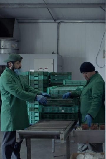 Дивитися фільм Soft Fruit 2026 онлайн