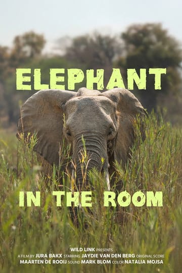 Дивитися фільм Elephant in the Room 2026 онлайн Дивитися фільм Elephant in the Room 2026 онлайн