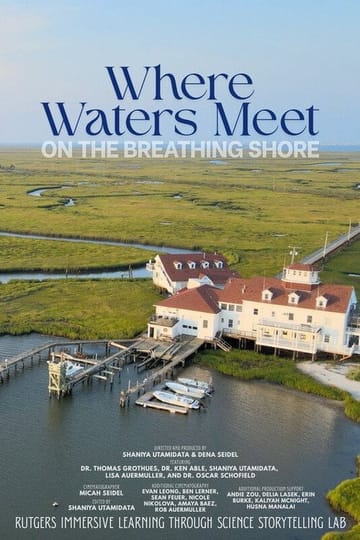 Дивитися фільм Where the Waters Meet on the Breathing Shore 2026 онлайн Дивитися фільм Where the Waters Meet on the Breathing Shore 2026 онлайн