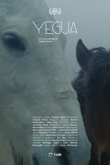 Watch Yegua 2026 online
