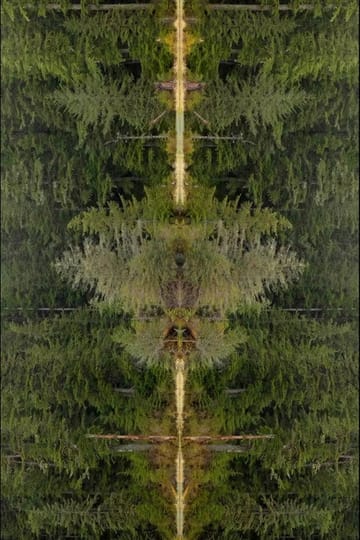 Дивитися фільм Mirrorpond 2026 онлайн