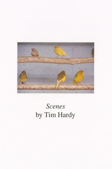 Watch Scenes 2026 online Watch Scenes 2026 online