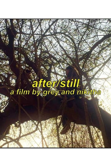 Watch After/Still 2026 online