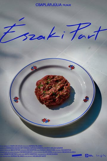 Дивитися фільм Északi part 2026 онлайн