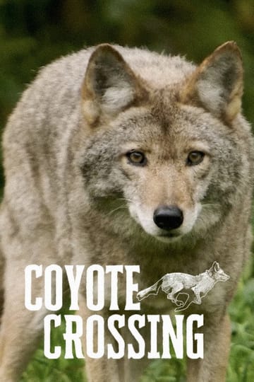 Watch Coyote Crossing 2026 online Watch Coyote Crossing 2026 online