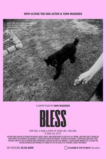 Watch Bless 2026 online Watch Bless 2026 online