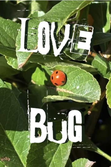 Дивитися фільм Lovebug 2026 онлайн Дивитися фільм Lovebug 2026 онлайн