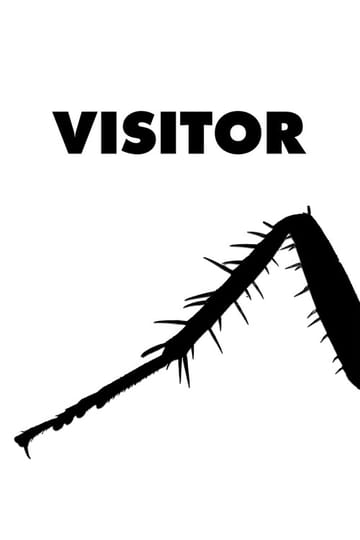 Дивитися фільм Visitor 2026 онлайн Дивитися фільм Visitor 2026 онлайн