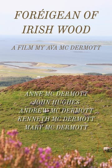 Дивитися фільм Foreigean of the Irish Woods 2026 онлайн