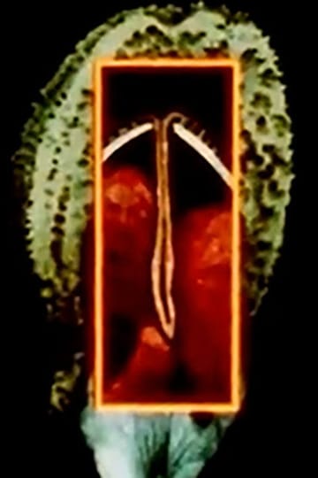 Watch Maternal Language Part 1: The Construction of Maternal Form & its Adaptation to Absent Sexual Vitality 2026 online