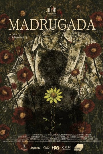 Watch Madrugada 2026 online